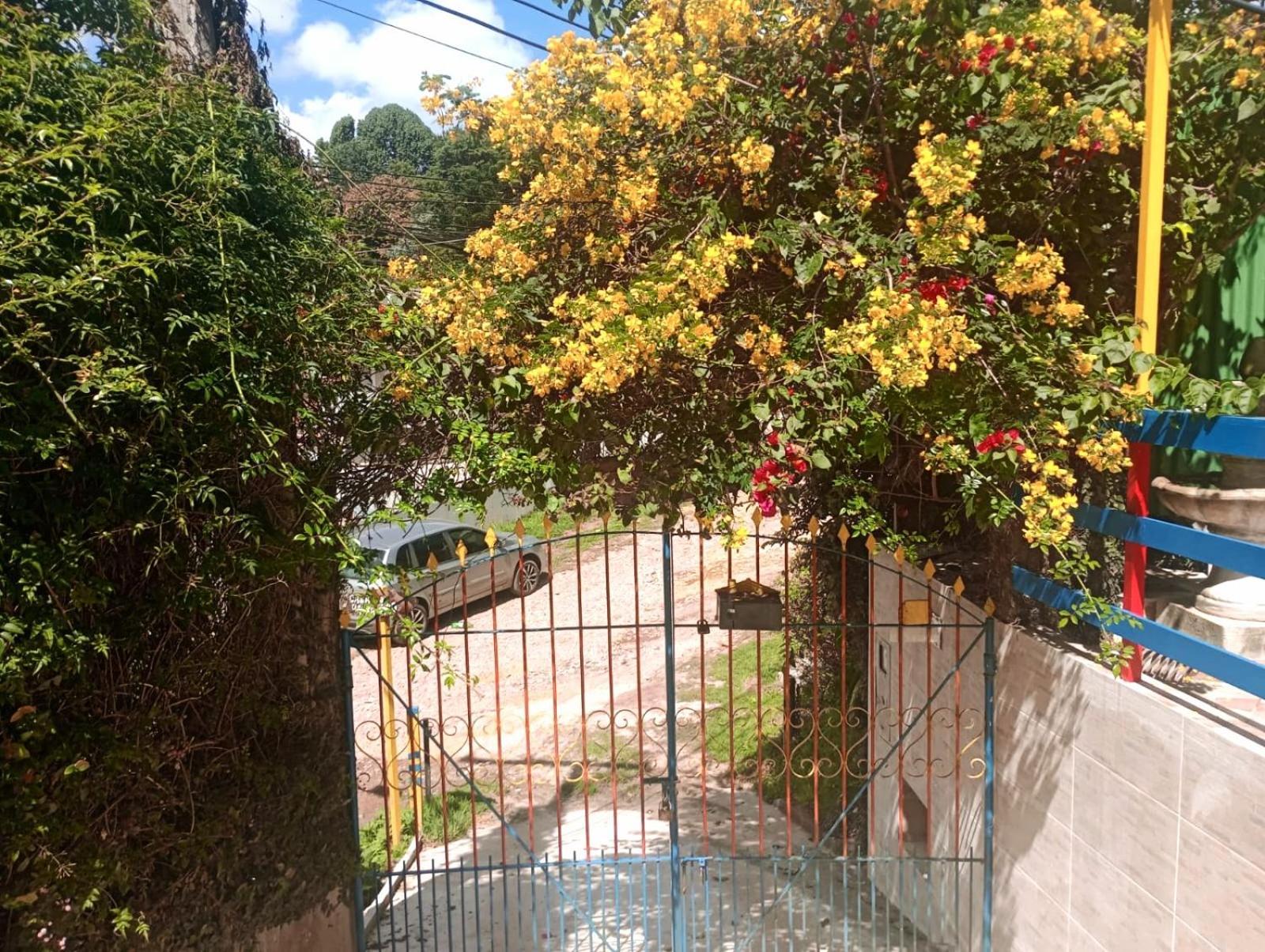 Casa Do Passarinho *