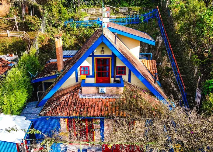 Casa Do Passarinho